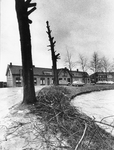 95346 Gezicht op de Singel met bebouwing te Woerden; met op de voorgrond enkele gesnoeide bomen.